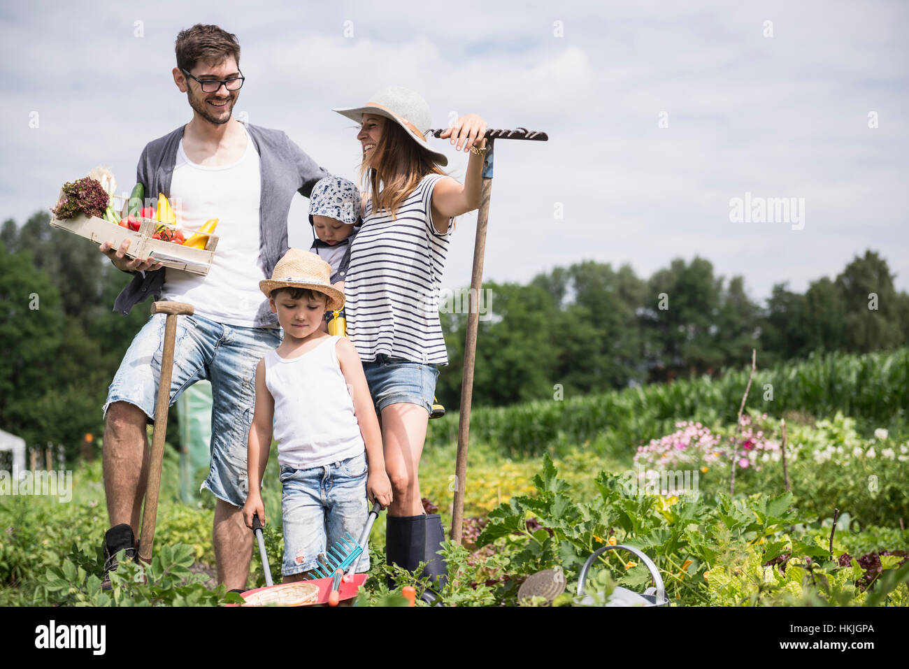 Familia cosechando vegetales en el jardín comunitario, Baviera, Alemania Foto de stock