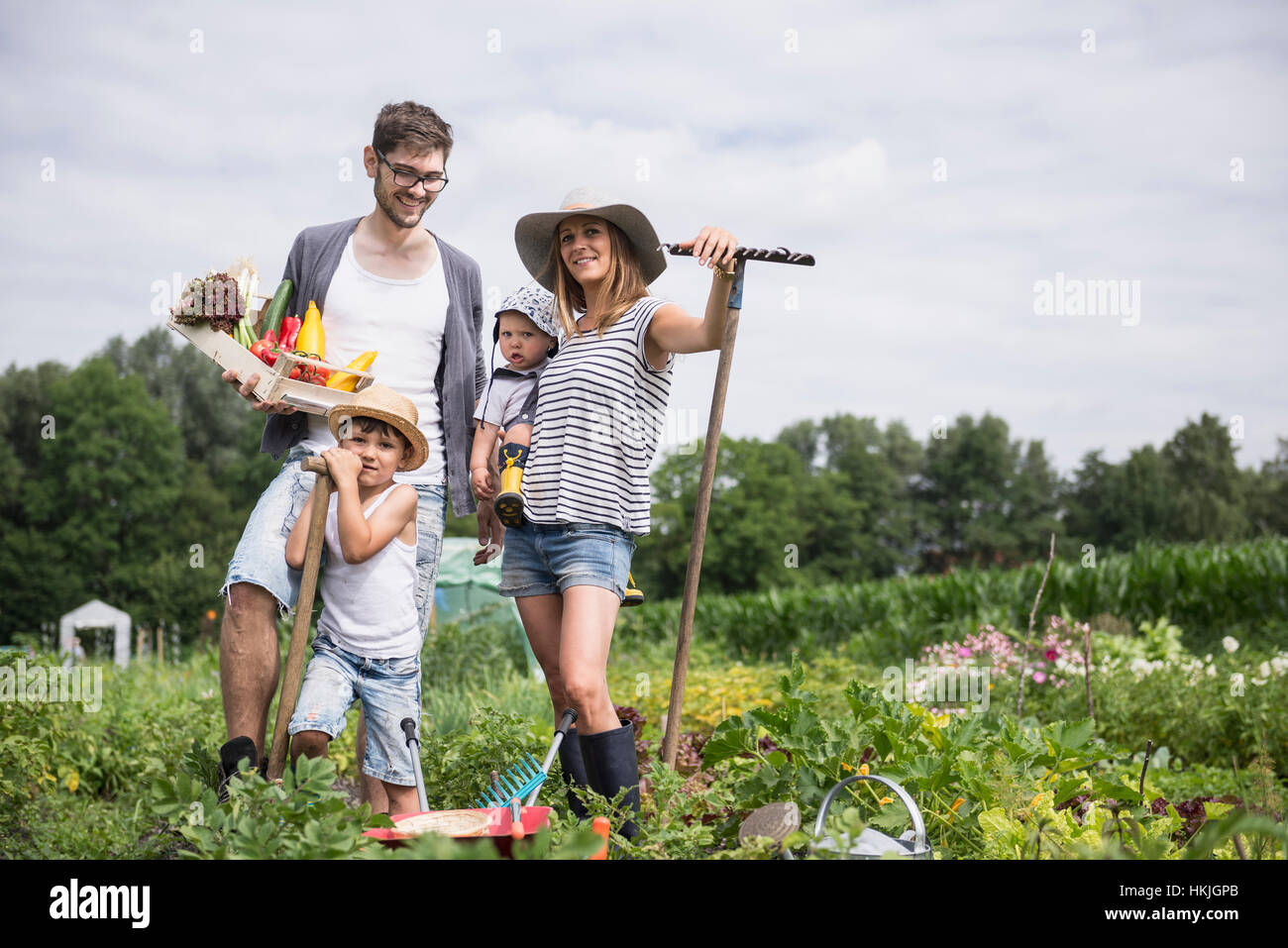 Familia cosechando vegetales en el jardín comunitario, Baviera, Alemania Foto de stock