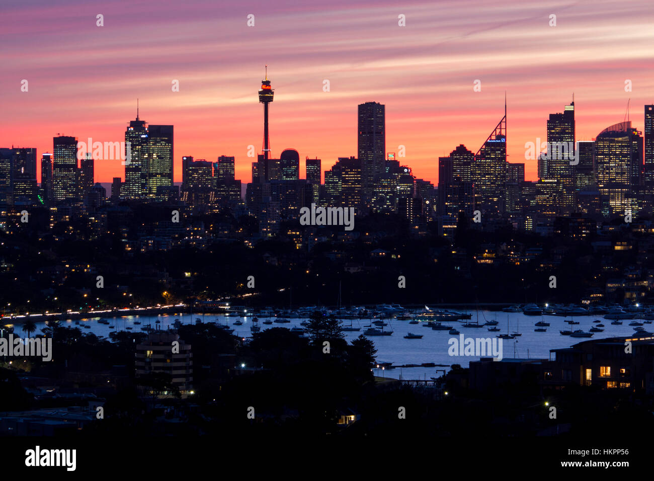 El horizonte de la ciudad de Sydney en la noche con rascacielos y el centro comercial Westfield Sydney Tower, con Rose Bay en primer plano Sydney NSW, Australia Foto de stock