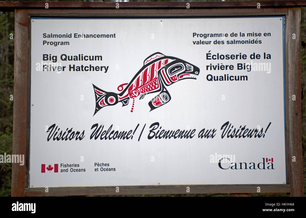 El gran río Qualicum criadero de la Primera Nación en tierras del pueblo en la isla de Vancouver, BC. Canadá. 11,724 de la SCO. Foto de stock