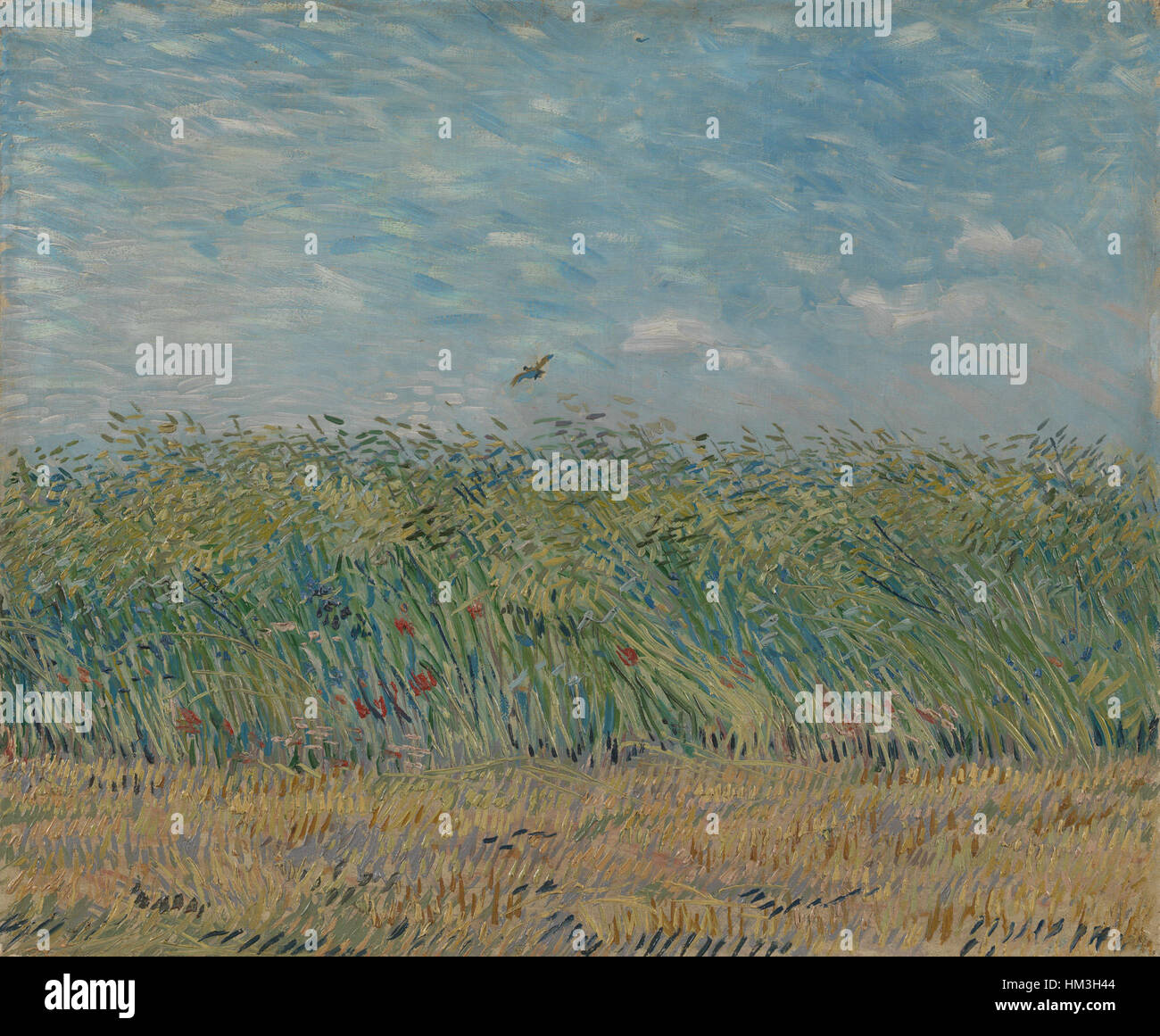 Korenveld met patrijs - S0197V1962 - Museo Van Gogh Foto de stock