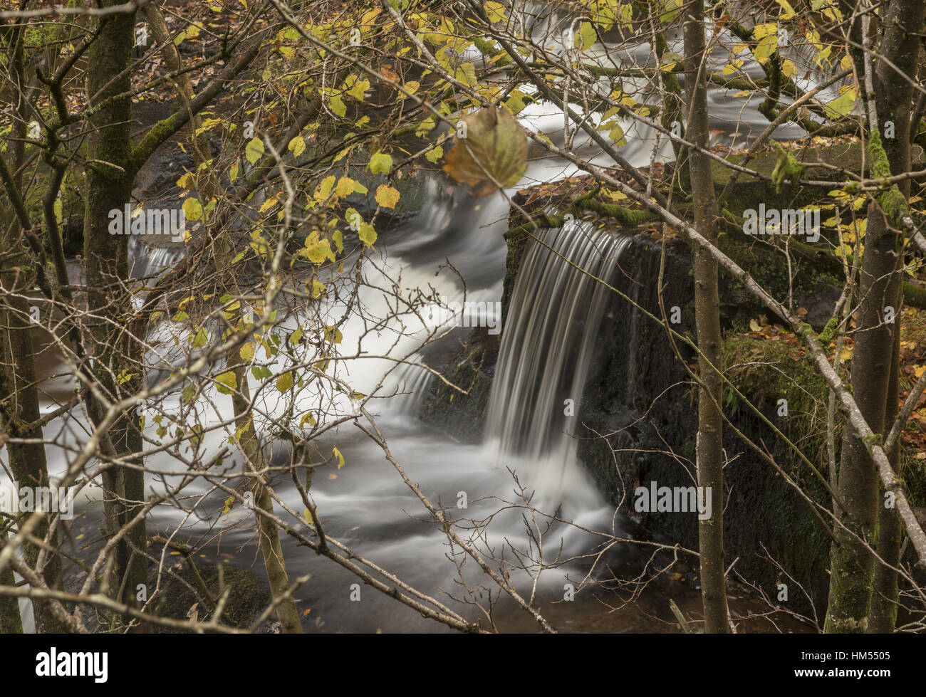 Uno de los Blaen y Glyn Cascadas, sobre el río Caerfanell, (afluente del Usk), Brecon Beacons. Foto de stock