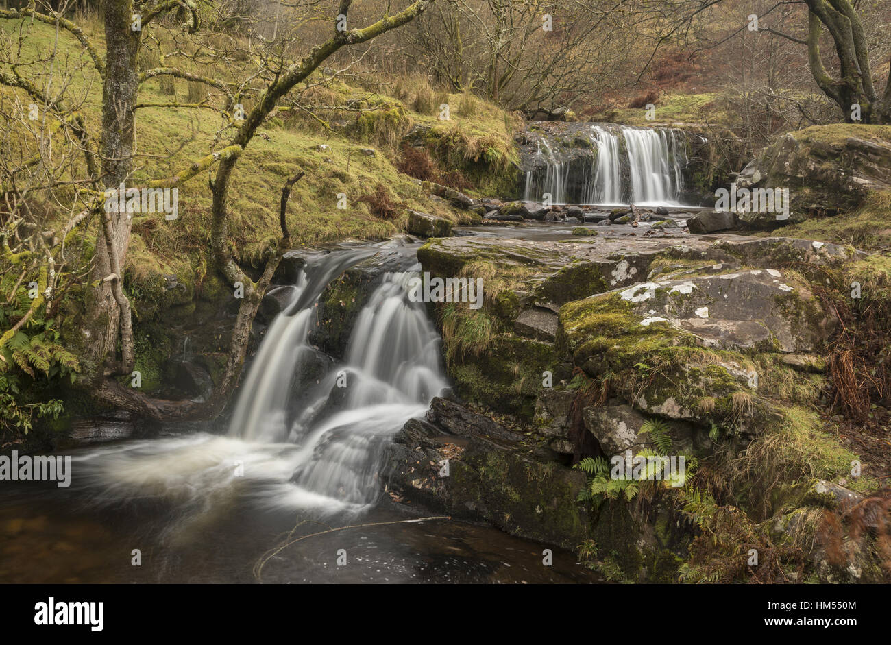 Uno de los Blaen y Glyn Cascadas, sobre el río Caerfanell, (afluente del Usk), Brecon Beacons. Foto de stock