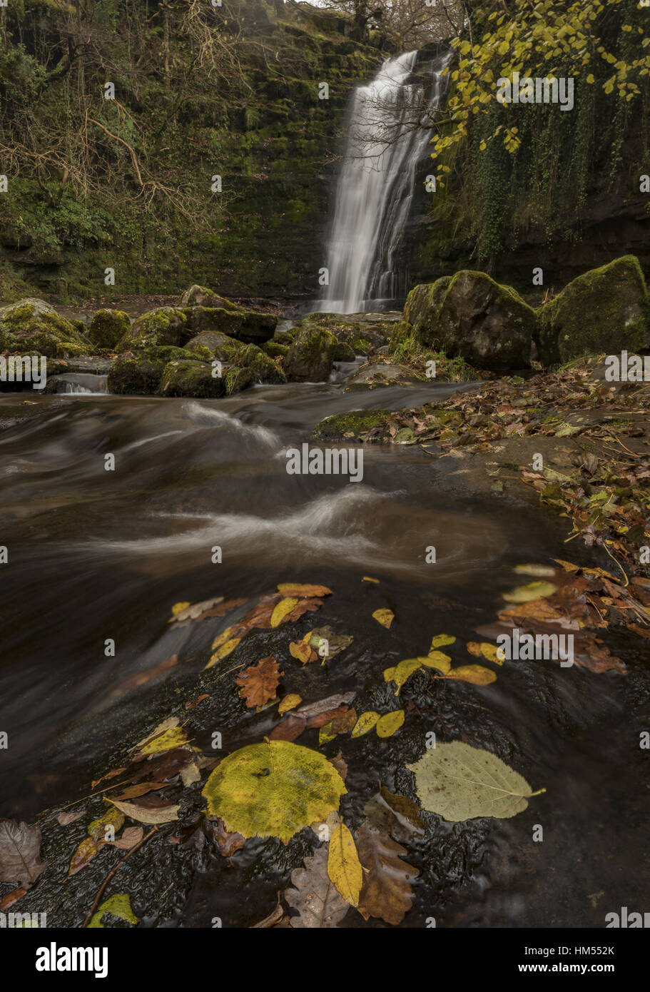 Uno de los Blaen y Glyn Cascadas, sobre el río Caerfanell, (afluente del Usk), con hojas caídas; de Brecon Beacons. Foto de stock