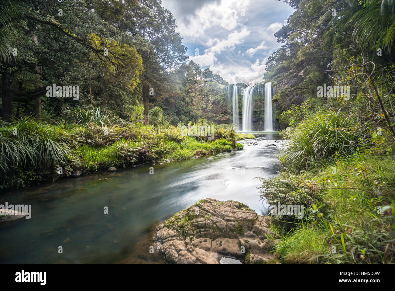 Whangarei, cascadas, bosques lluviosos templados, en Whangarei, Northland, Isla del Norte, Nueva Zelanda Foto de stock
