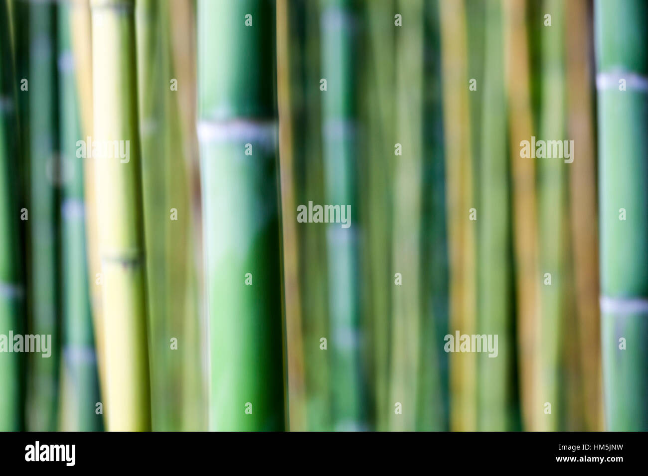 Imagen abstracta de los tallos de bambú Foto de stock