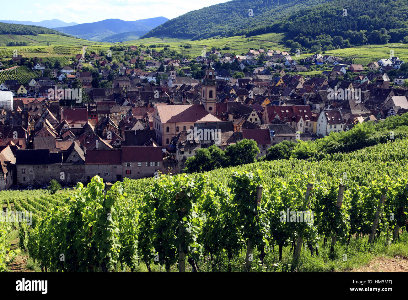 Vue aérienne sur le village et les vignobles. Riquewihr. F 68 Foto de stock