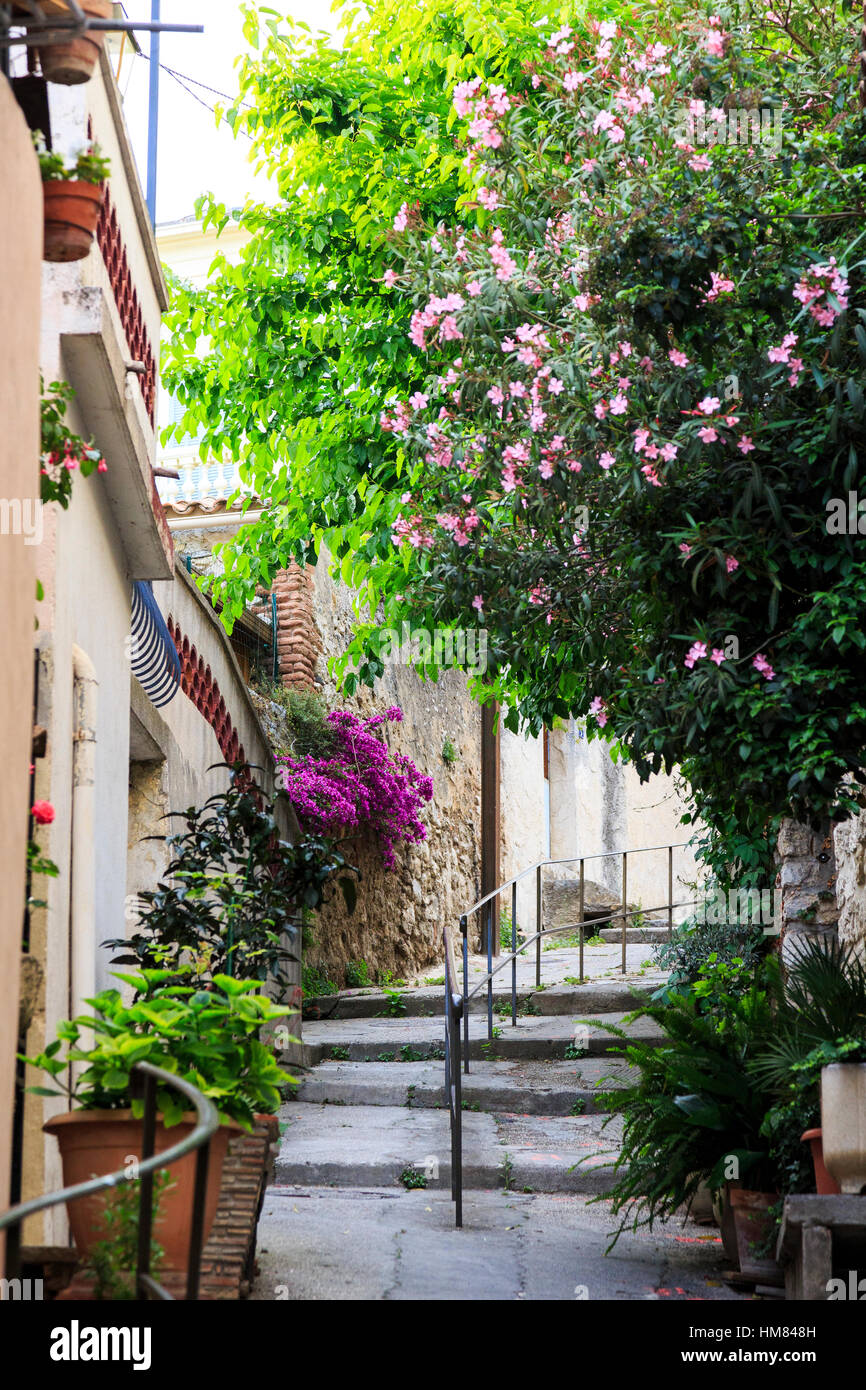 La aldea de La Cadiere D'Azur, en la Cote d'Azur, en el sur de Francia Foto de stock