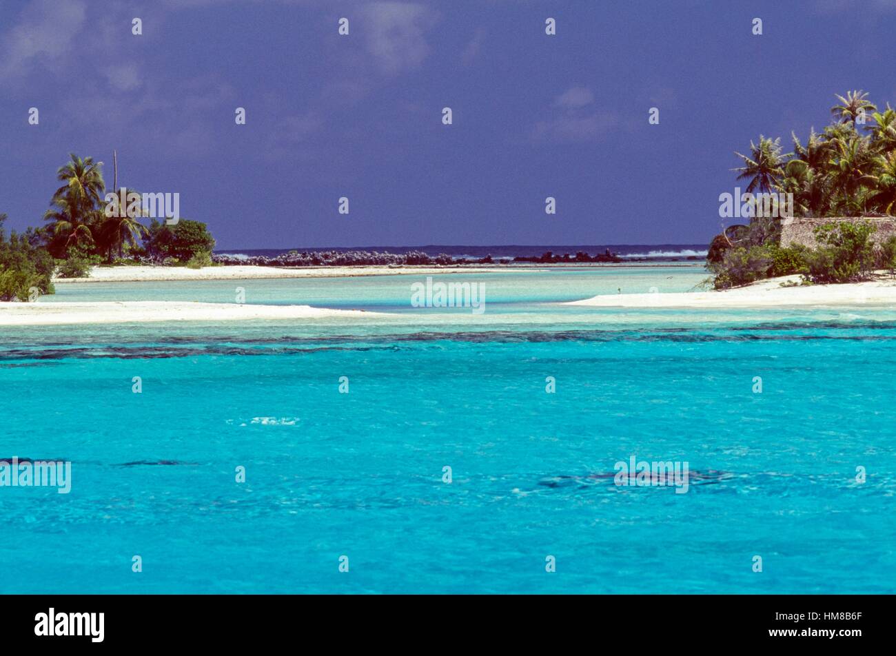 Laguna Azul con palmeras en el fondo, Rangiroa, las Islas Tuamotu, en