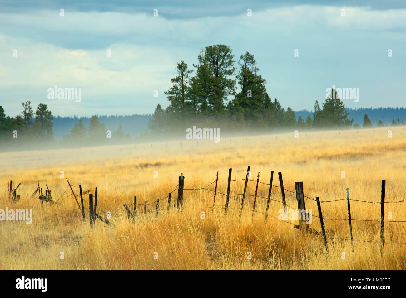 Valla de ganado en las praderas Zumwalt, Wallowa County, Oregon. Foto de stock