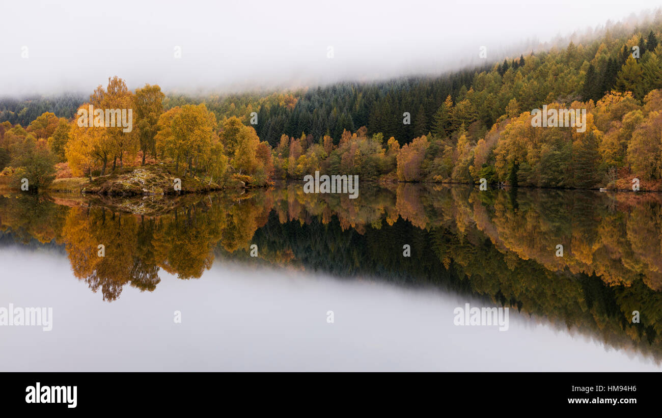 Árboles en otoño de color reflejado como en un espejo en el Loch Tummel, Scottish Highlands, Scotland, Reino Unido Foto de stock