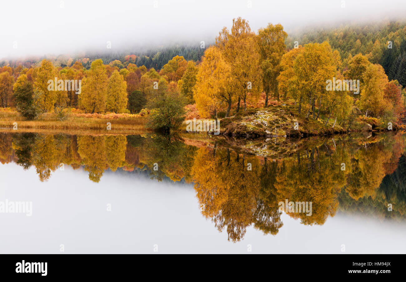 Color dorado de otoño con árboles y niebla reflejado en Loch Tummel, Pitlochry, Perthshire, Escocia, Reino Unido Foto de stock