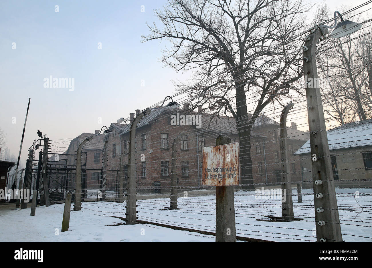 72º Aniversario De La Liberación De Auschwitz Birkenau Kl Y El Día Del Recuerdo Del Holocausto