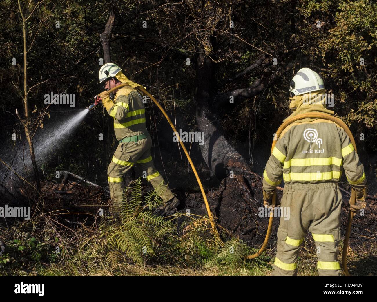 Los incendios forestales en Galicia. Algunos brigada Rural de la Xunta de  Galicia, a enfriar la superficie forestal quemada este verano en la  provincia de Lugo Fotografía de stock - Alamy