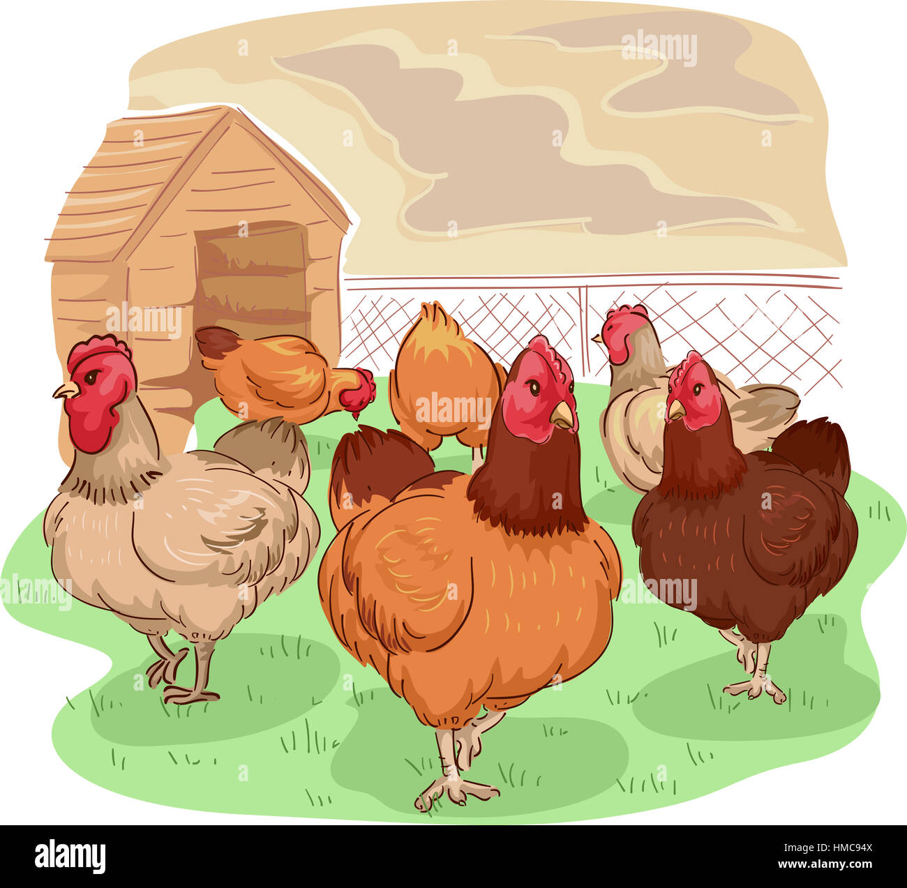 Ilustración de animales de razas diferentes de Free Range Chicken deambulando en búsqueda de alimentos Foto de stock