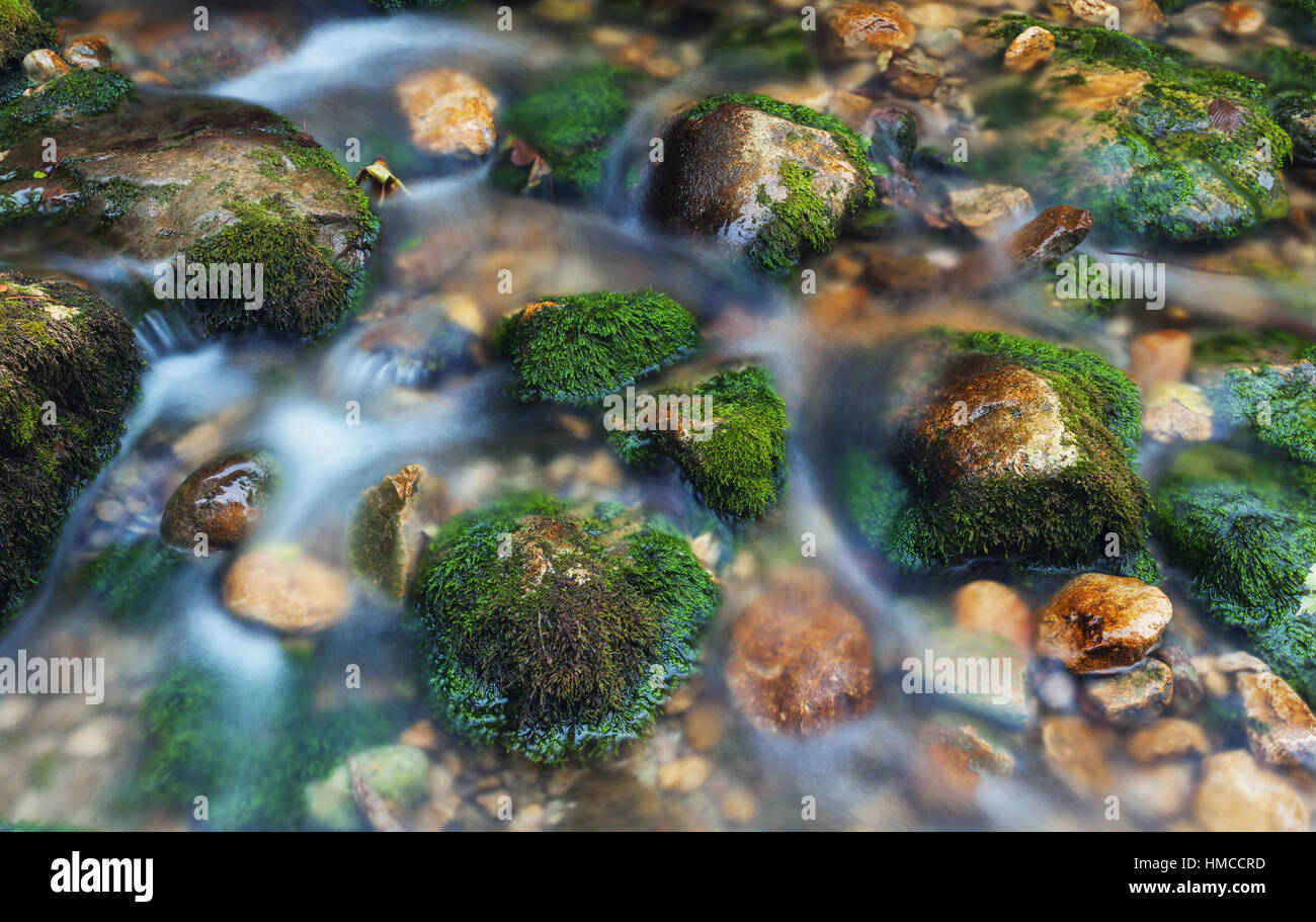 Piedras Coloradas con musgo verde en río de montaña. Agua borrosa. Antecedentes de la naturaleza. En otoño. Vintage tonificación. Close-up Foto de stock
