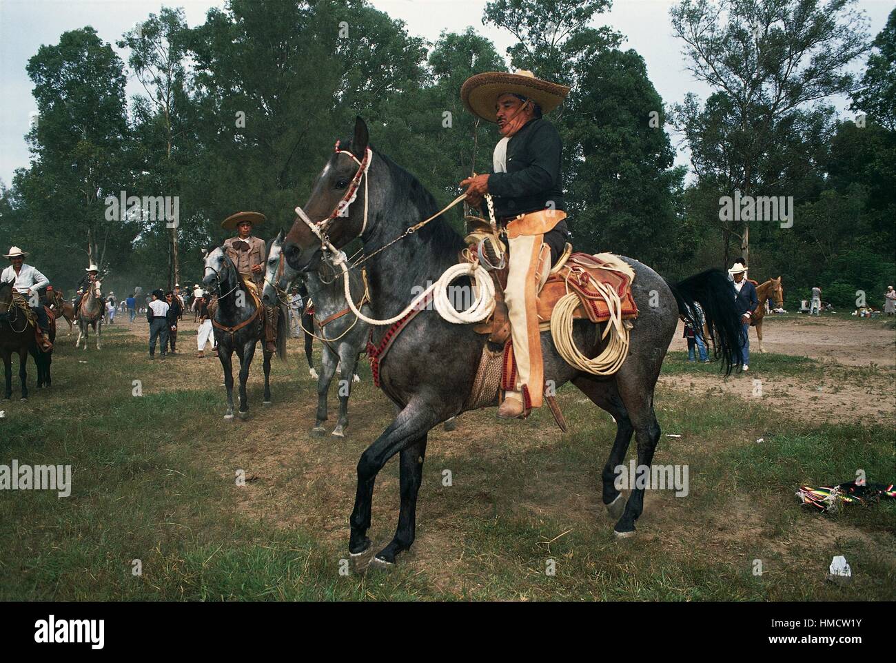Charros, vaqueros mexicanos a caballo durante la reunión Guadalajara, estado de Jalisco, de stock - Alamy