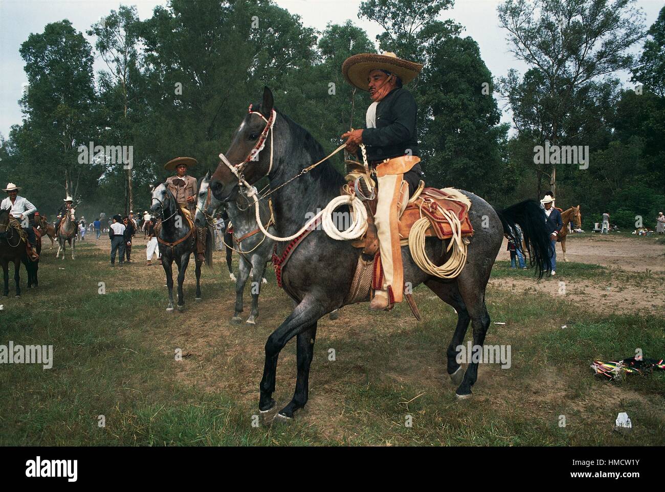 Charros, vaqueros mexicanos a caballo durante la reunión dominical,  Guadalajara, estado de Jalisco, México Fotografía de stock - Alamy