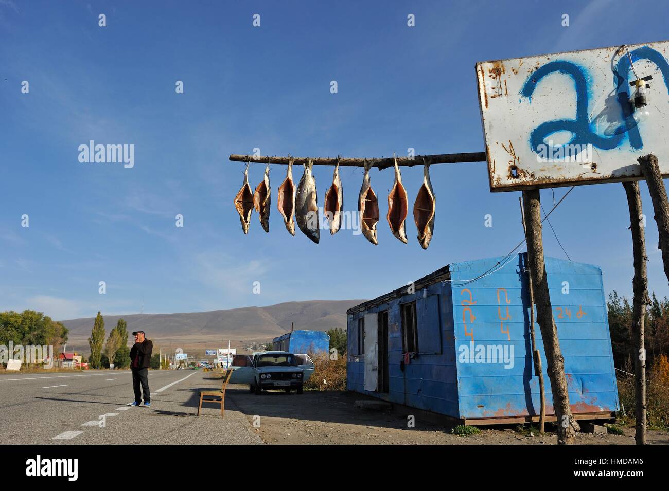Los peces en venta al lado de la carretera, a lo largo de la cuenca del lago Sevan, Gegharkunik región, Armenia, Eurasia. Foto de stock