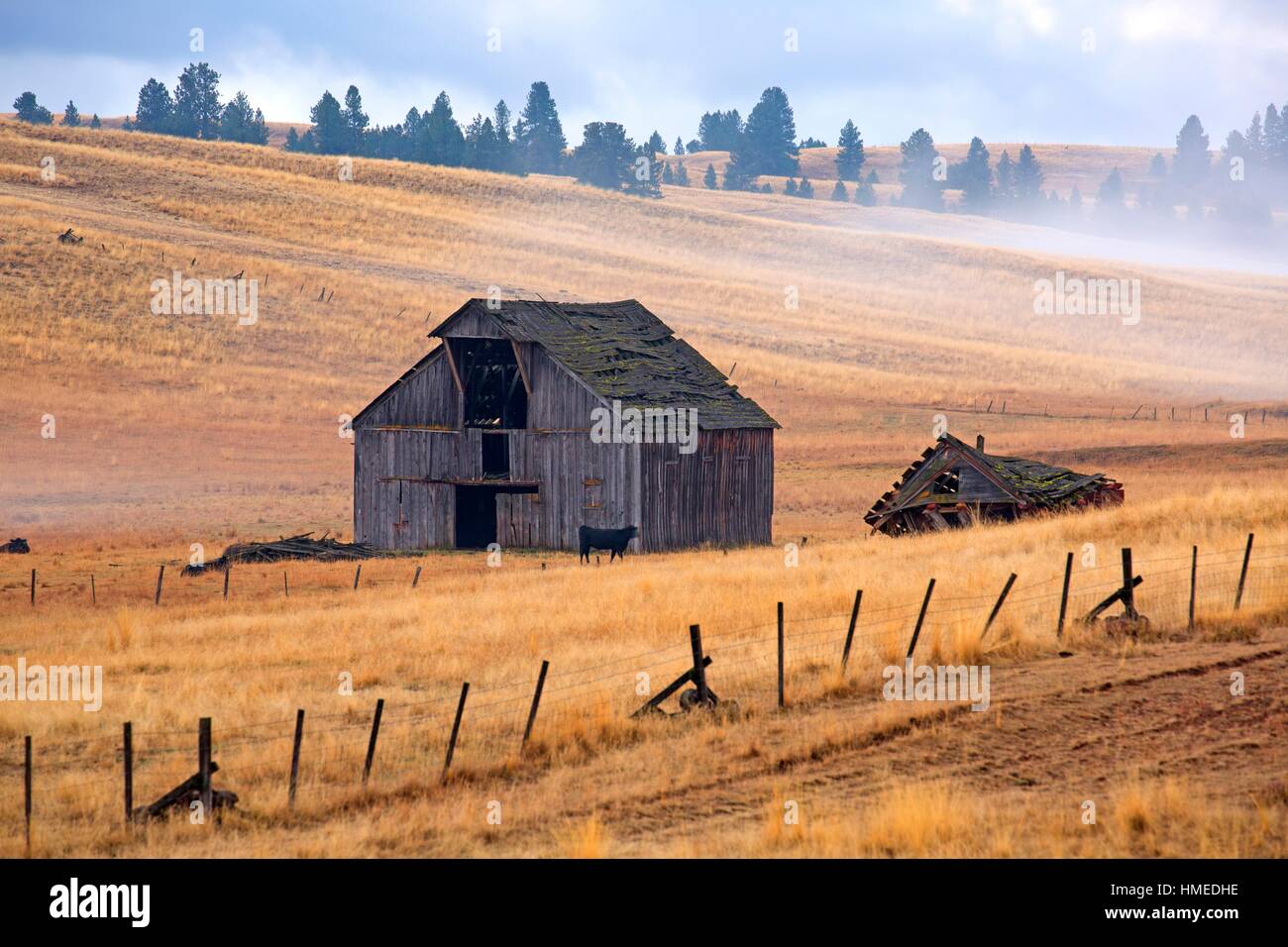 Granero en Pradera Zumwalt, Wallowa County, Oregon. Foto de stock