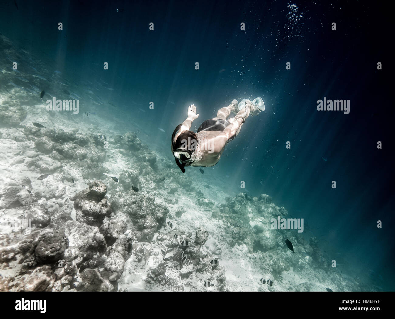 El hombre es el buceo en el arrecife de coral en el océano Índico Foto de stock