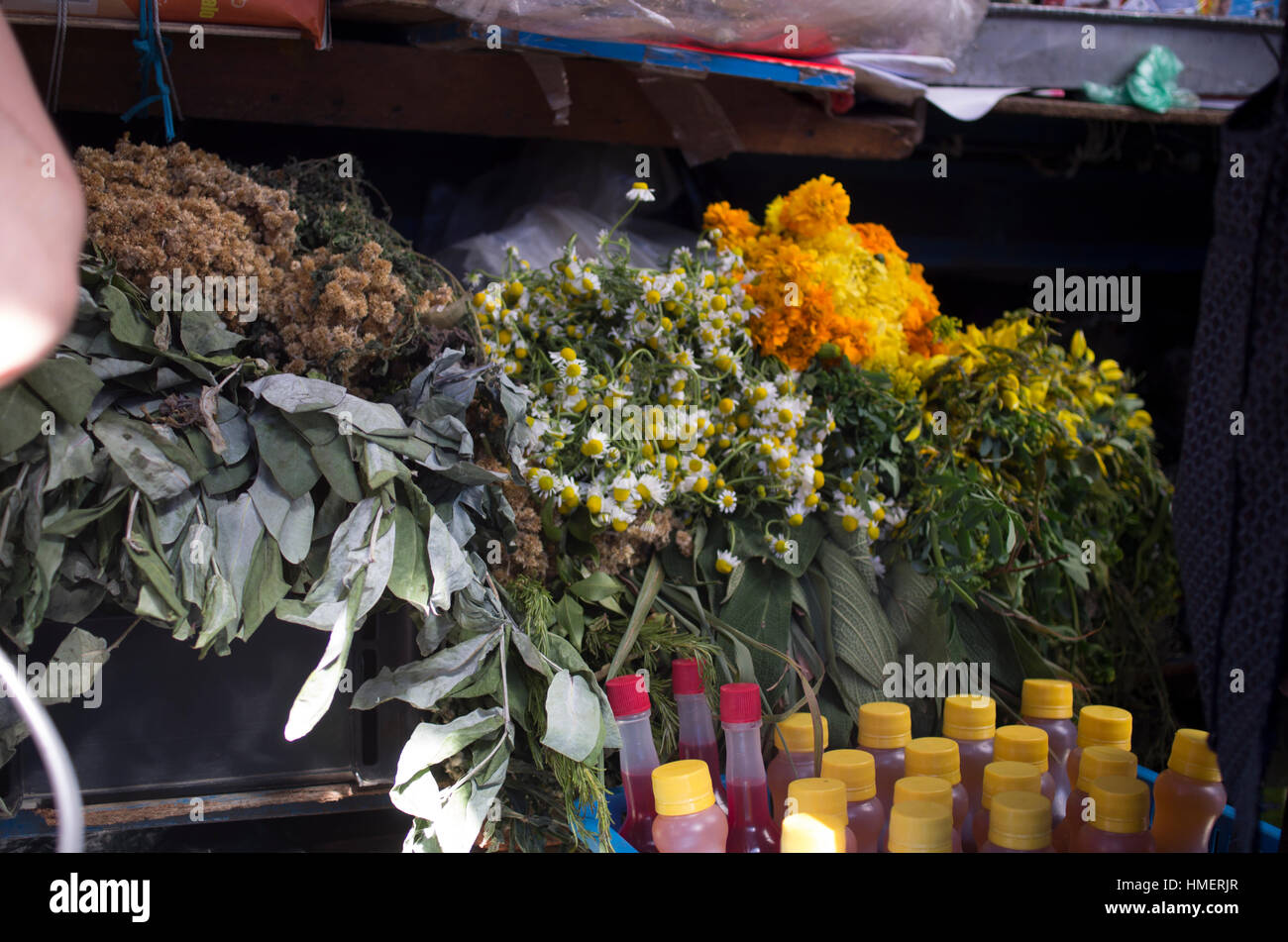 Hierbas en la cancha, mercado en Santa Cruz, Bolivia, para ser utilizadas en la medicina tradicional indígena, rituales y tratamientos. Foto de stock