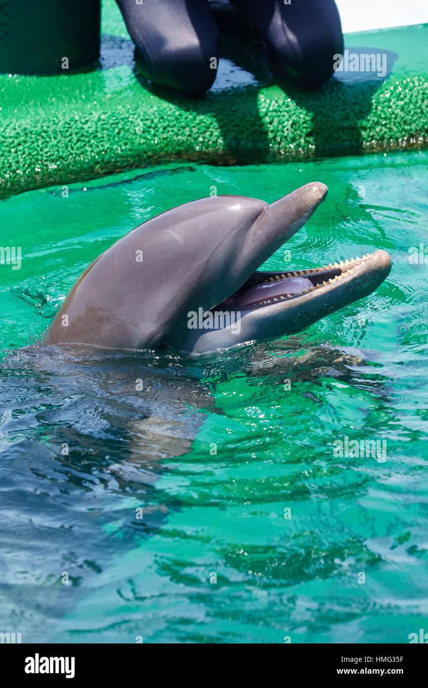 Isla de san martin de pajarales fotografías e imágenes de alta