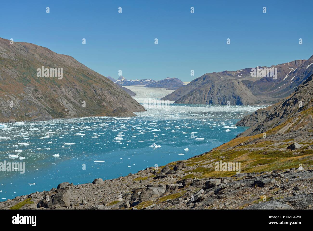 Y glaciar Qooroq fiordo, con numerosos témpanos (Groenlandia) Foto de stock