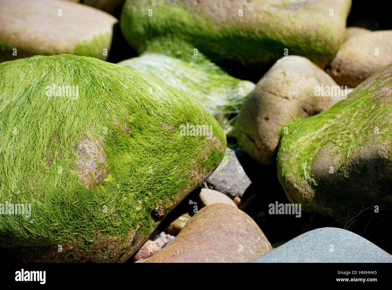 Rocas en una playa escocesa Foto de stock