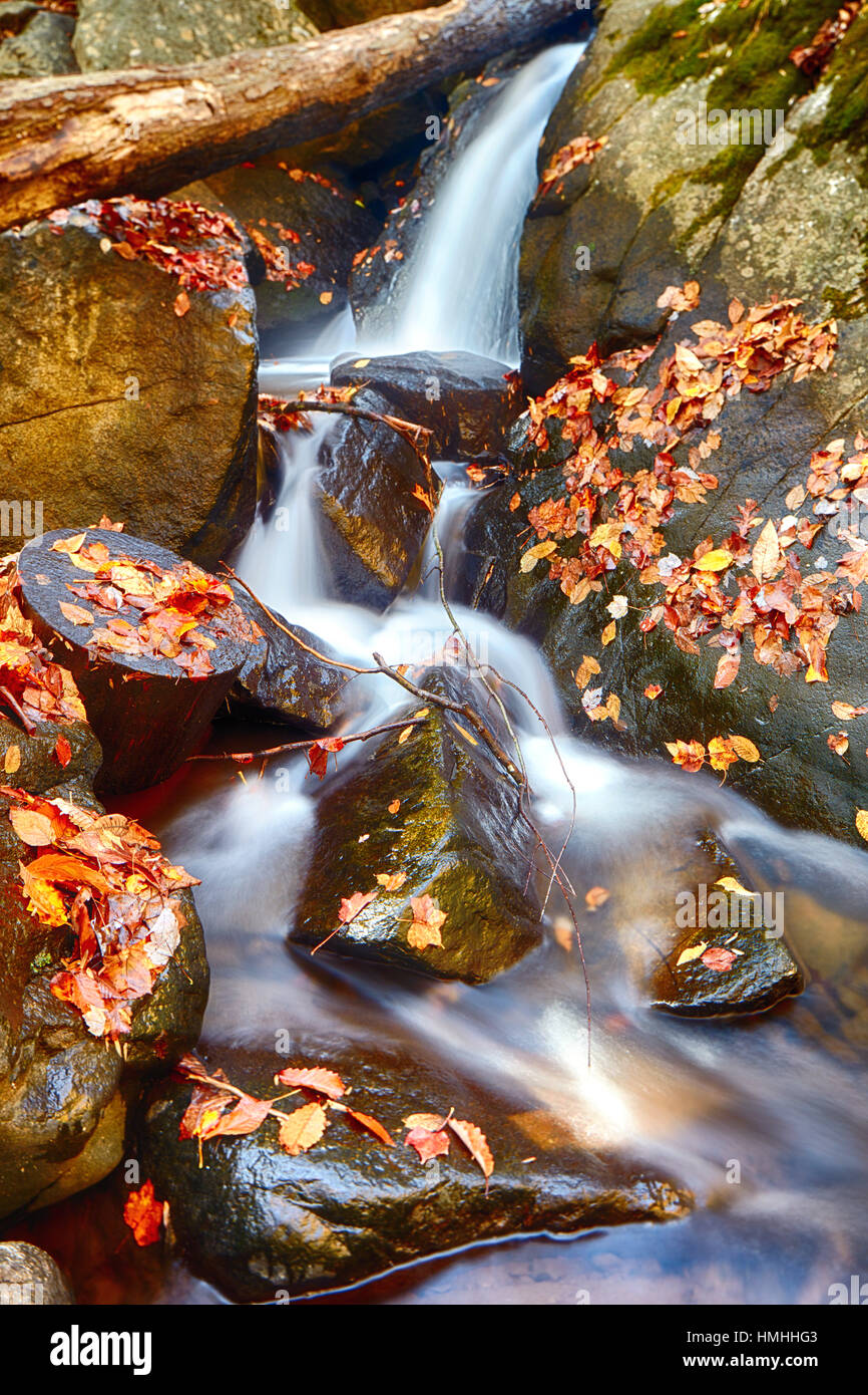 Vista de cerca de una pequeña cascada en el Río Negro durante la temporada de otoño, largo valle, Morris County, New Jersey Foto de stock