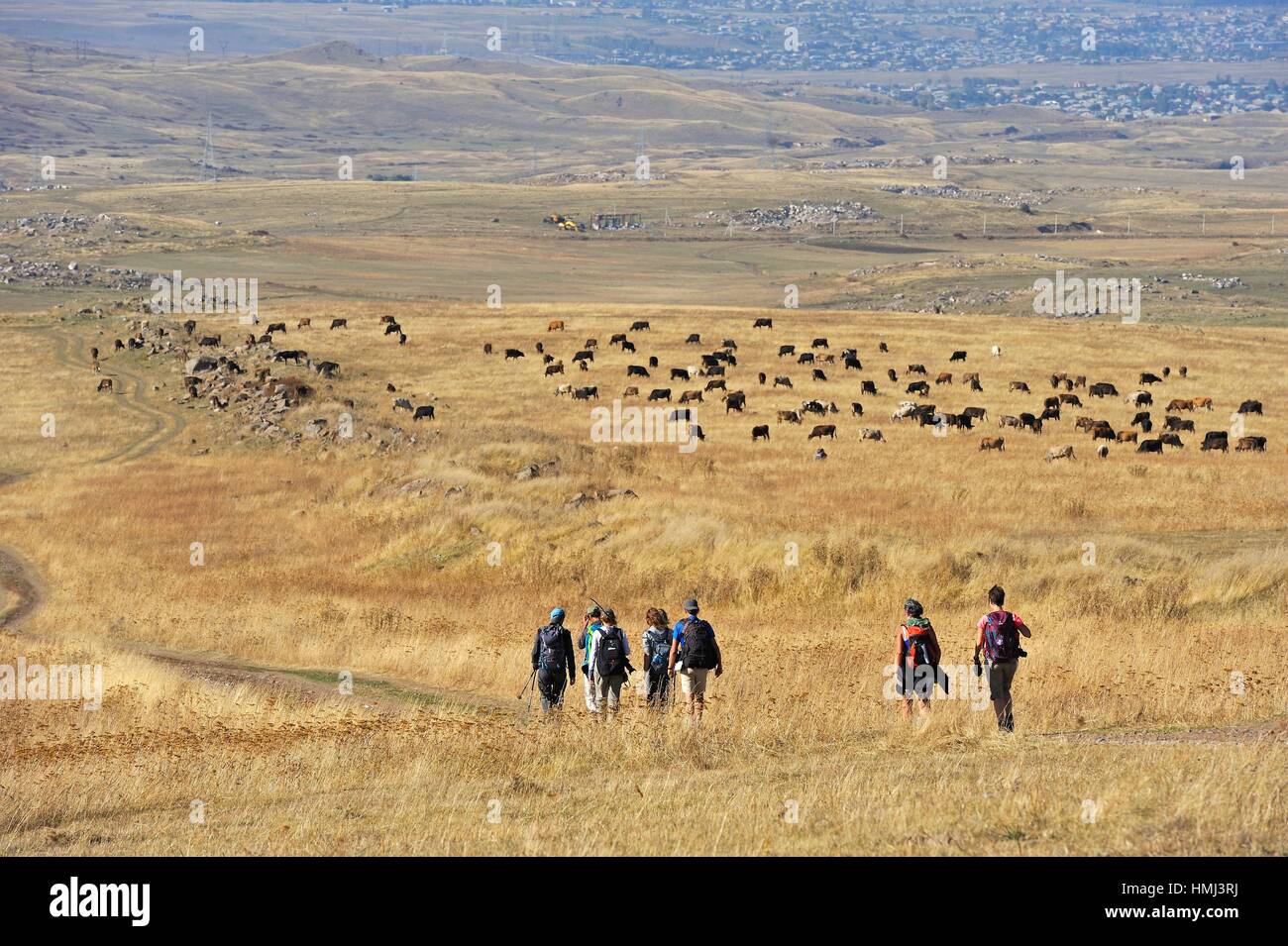 Excursionistas en la meseta Argitchi Gegharkunik, región, Armenia, Eurasia. Foto de stock