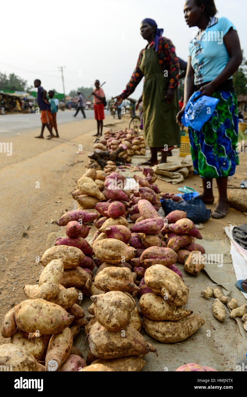 KENYA, Condado de Kakamega, Bukura, mujeres venden camote en la carretera  el día de mercado / Kenia, Frauen verkaufen Suesskartoffeln auf dem Markt  Fotografía de stock - Alamy
