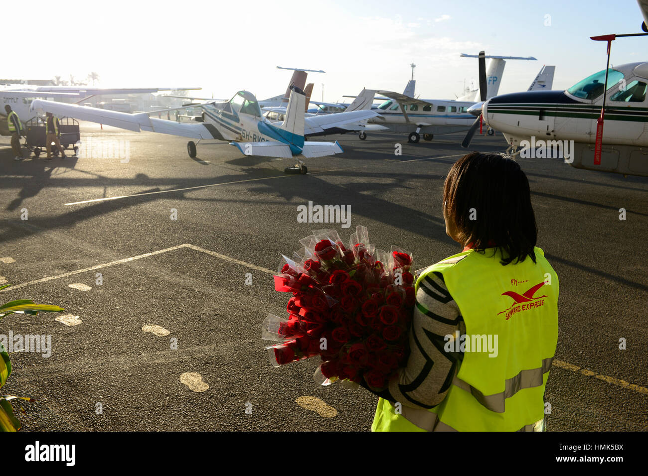 KENYA, Nairobi, el aeropuerto Wilson, empleado del servicio de aviones hacia el cielo express presenta rosas a los pasajeros por día Valentins Foto de stock