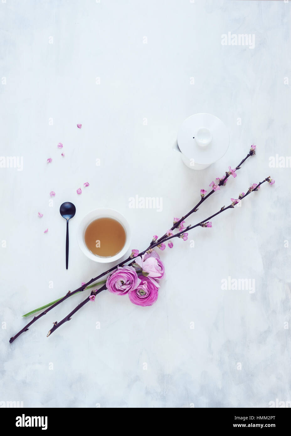 Sentar planas de flores de primavera flor de cerezo y ranunculus dispuestas sobre un telón de fondo pintado de color blanco y gris con una tetera tetera Foto de stock