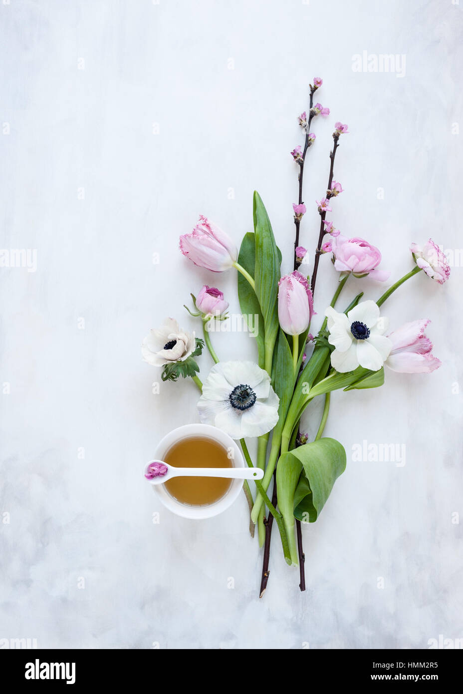 Planos de flores de primavera laicos dispuestos alrededor de un vaso de agua sobre un telón de fondo pintado de color blanco y gris de gran estilo, fotografiado en luz natural Foto de stock