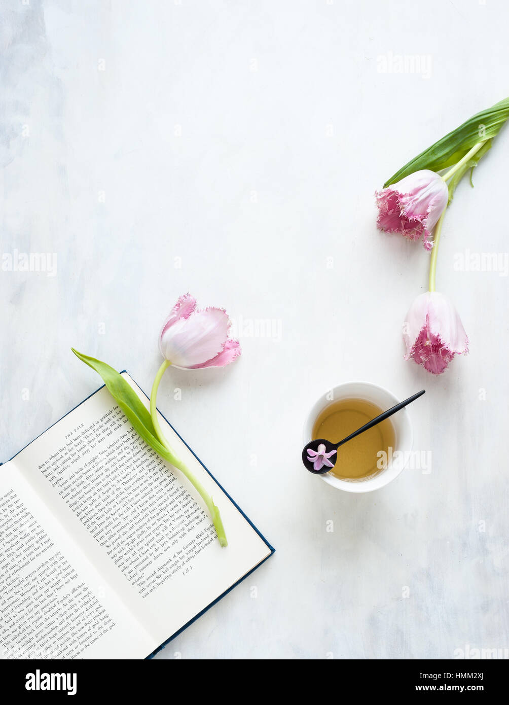 Bodegón con tres tulipanes loro erizadas, taza de té, cucharadita, libro, vista desde arriba, al estilo, sobre fondo blanco y gris. Foto de stock