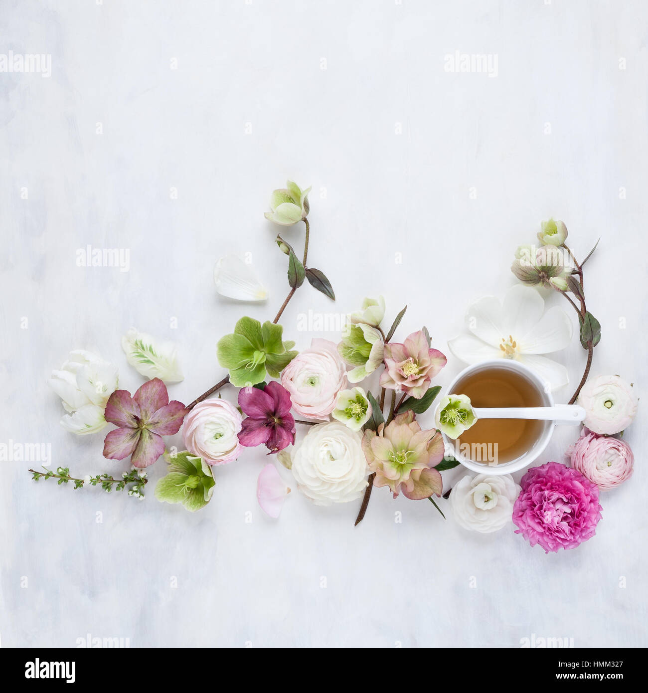 Vista de la vida fija plana desde arriba de las hellebores y flores de primavera dispuestas alrededor de una taza de té Foto de stock