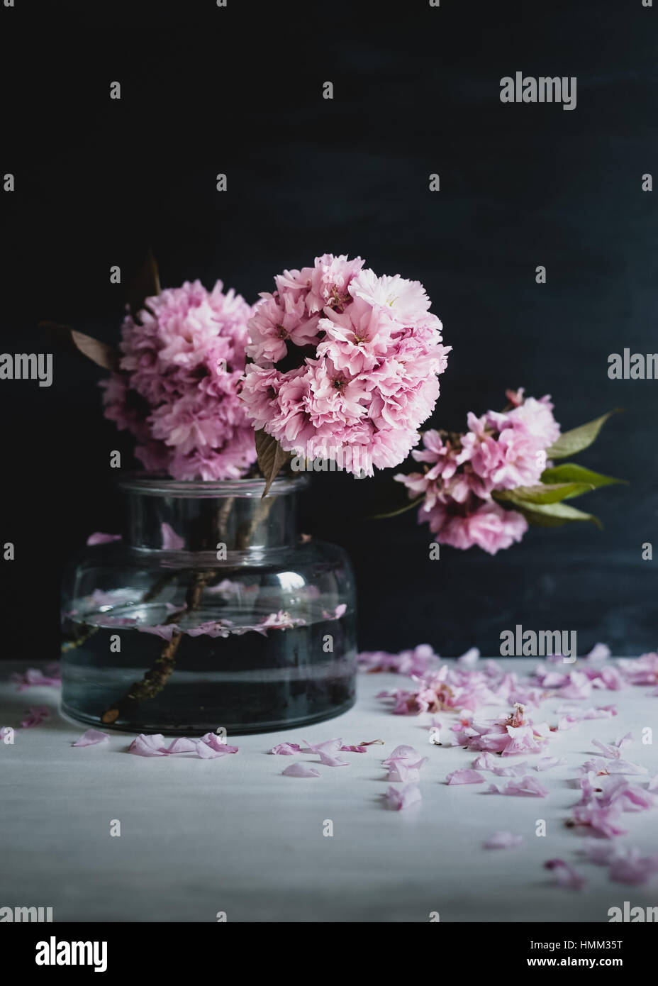 Moody bodegón con ramas de cerezo en flor rosa en jarrón de cristal, fondo oscuro y el enfoque selectivo Foto de stock