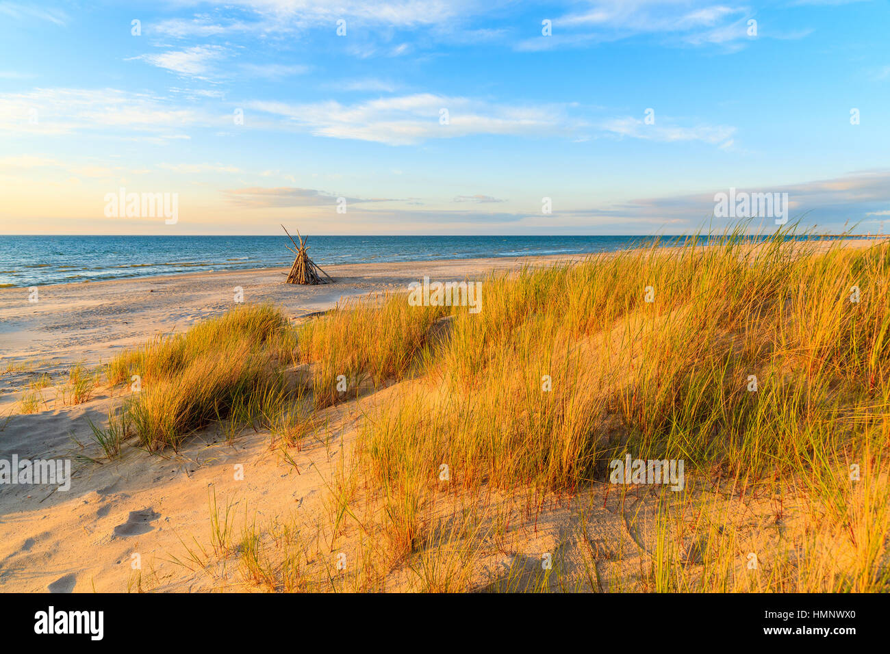 Hierba en una duna de arena en sunset colores dorados en Leba playa, Mar Báltico, Polonia Foto de stock