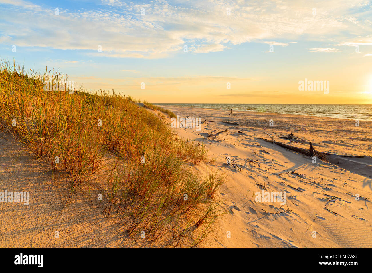Hierba en una duna de arena y la puesta de sol sobre la playa de Leba, Mar Báltico, Polonia Foto de stock