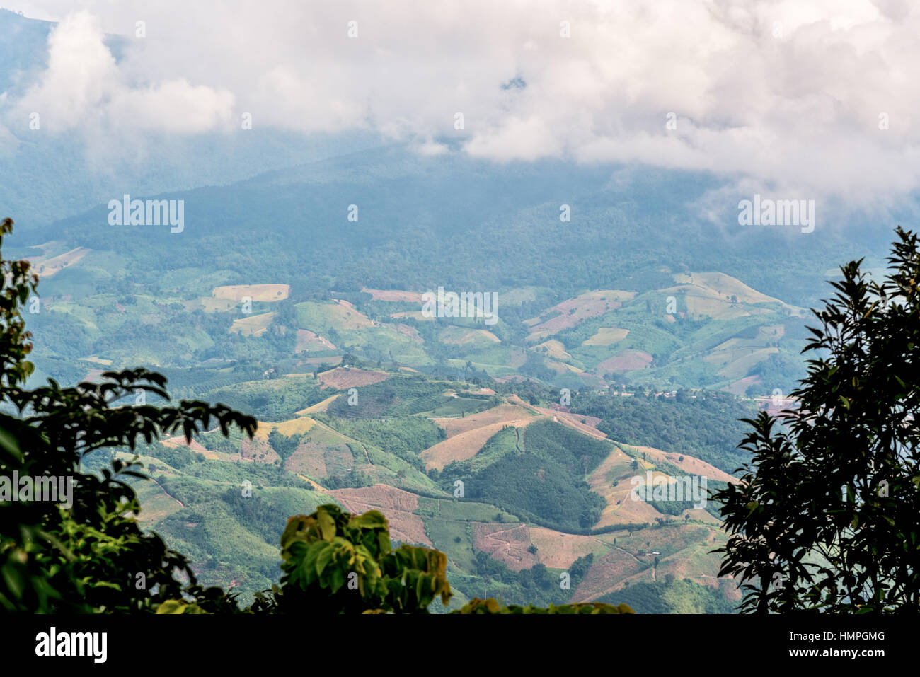 Un alto ángulo de visualización horizontal de las tierras cultivadas en el norte de Tailandia Foto de stock