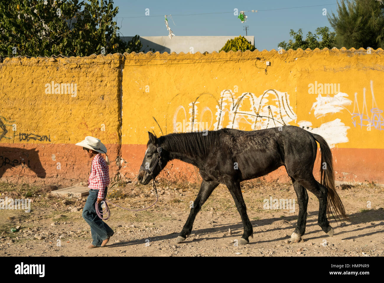 Un joven mexicano vaqueros lleva su caballo tras llegar al campamento en  una aldea parada a lo largo de la carretera durante la anual Cabalgata de  peregrinación de Cristo Rey el 4