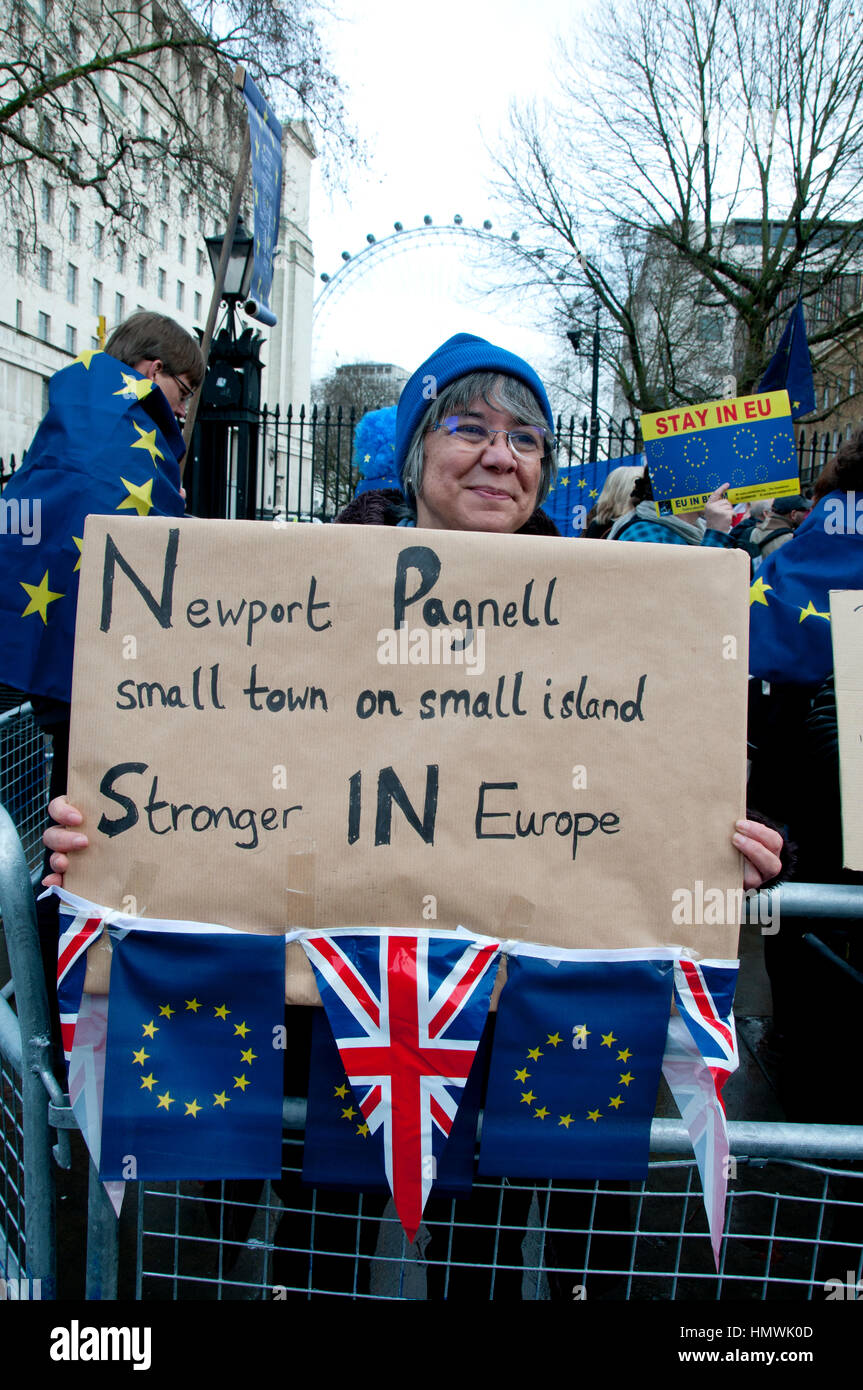 Londres, 4 de febrero de 2017. Una pequeña manifestación frente a Downing Street por partidarios de permanecer (en la Unión Europea) exigiendo una demora al artículo Foto de stock