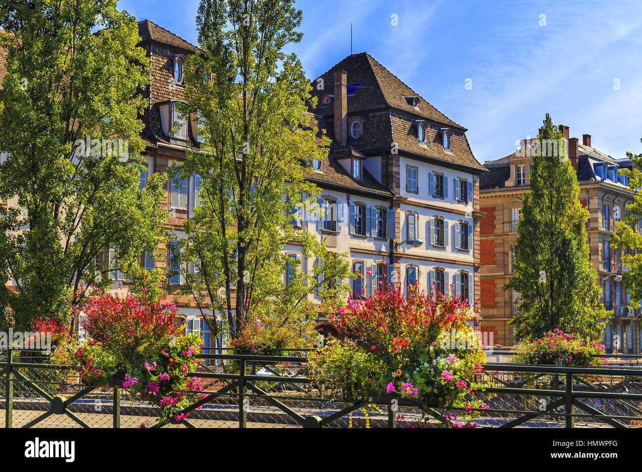 Green Street, en el centro histórico de Estrasburgo, Francia, con decoración floral. Foto de stock