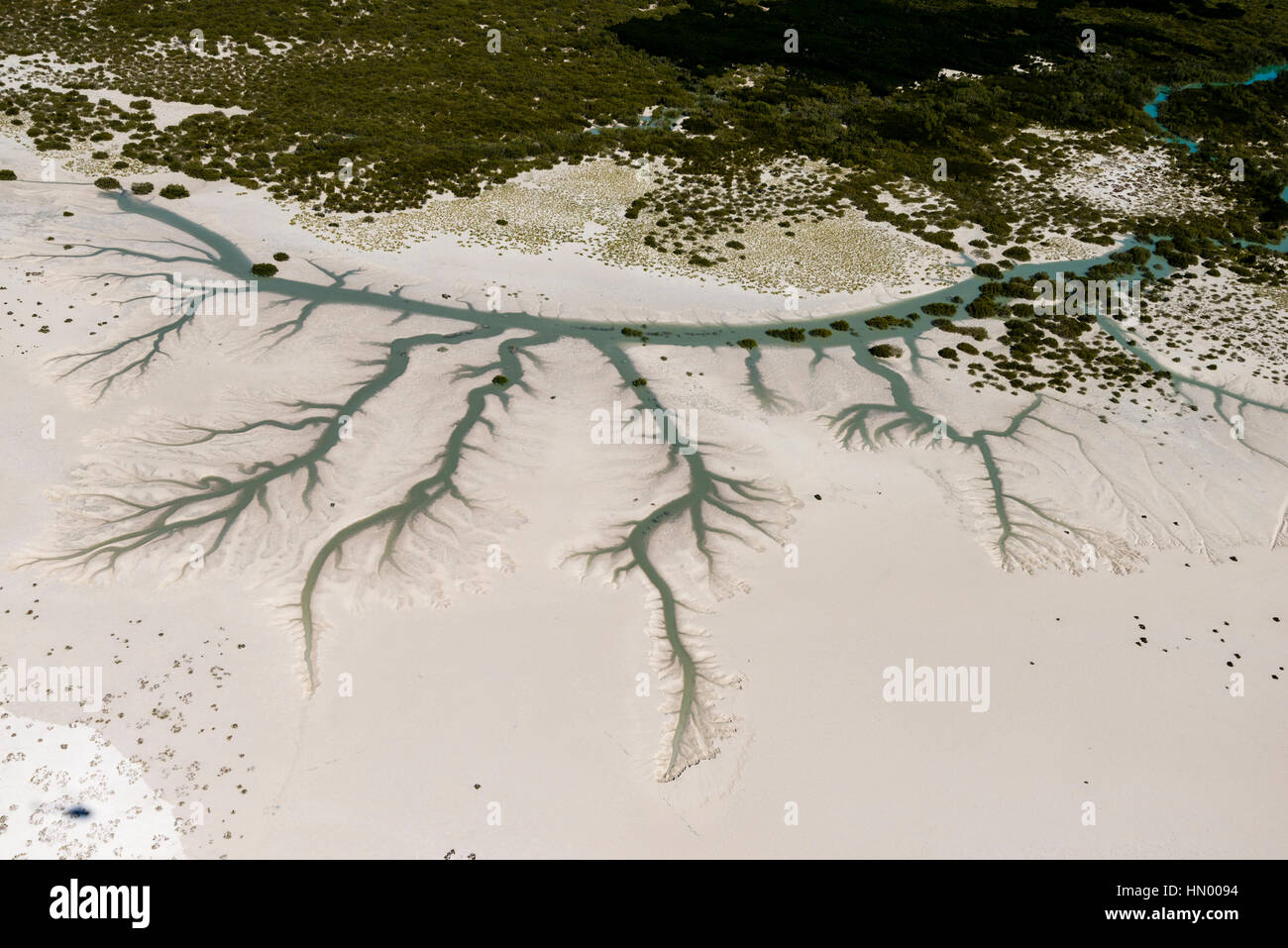 Dendritic drainage pattern aerial view fotografías e imágenes de alta