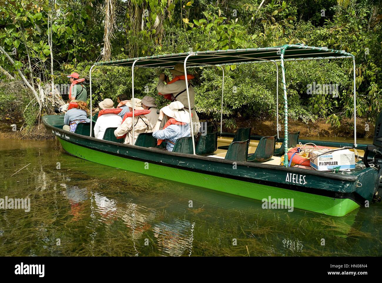 Botes explorar las aguas del Canal de Panamá a través de calas y ensenadas en busca de vida silvestre, incluyendo un sinnúmero de especies de aves, reptiles Foto de stock