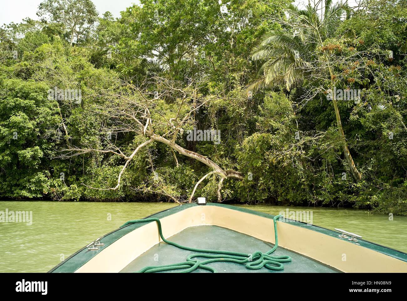 Botes explorar las aguas del Canal de Panamá a través de calas y ensenadas en busca de vida silvestre, incluyendo un sinnúmero de especies de aves, reptiles Foto de stock