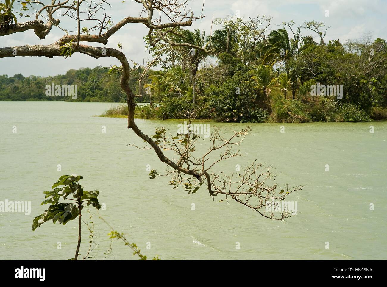 Botes explorar las aguas del Canal de Panamá a través de calas y ensenadas en busca de vida silvestre, incluyendo un sinnúmero de especies de aves, reptiles Foto de stock