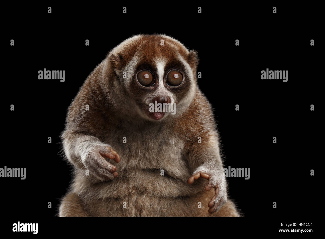 Mono lento fotografías e imágenes de alta resolución - Alamy