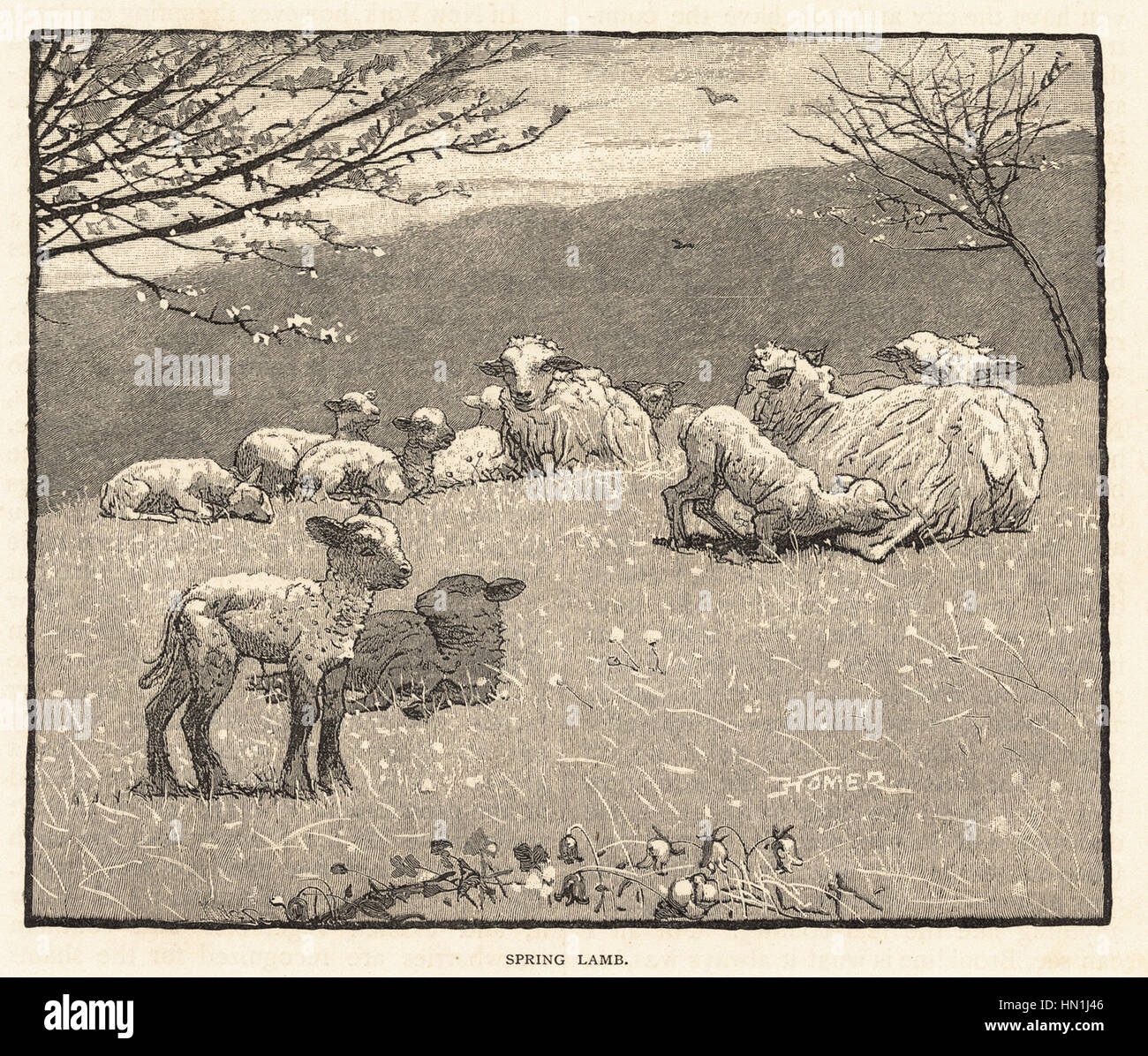 Winslow Homer - cordero Primavera Foto de stock